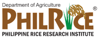 Philippine Rice Research Institute