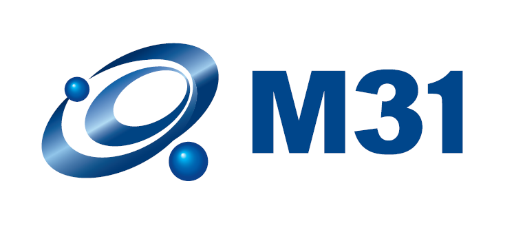 M31 Technology Corp.