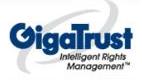 GigaMedia Access Corp.