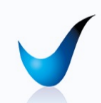Validis Holdings