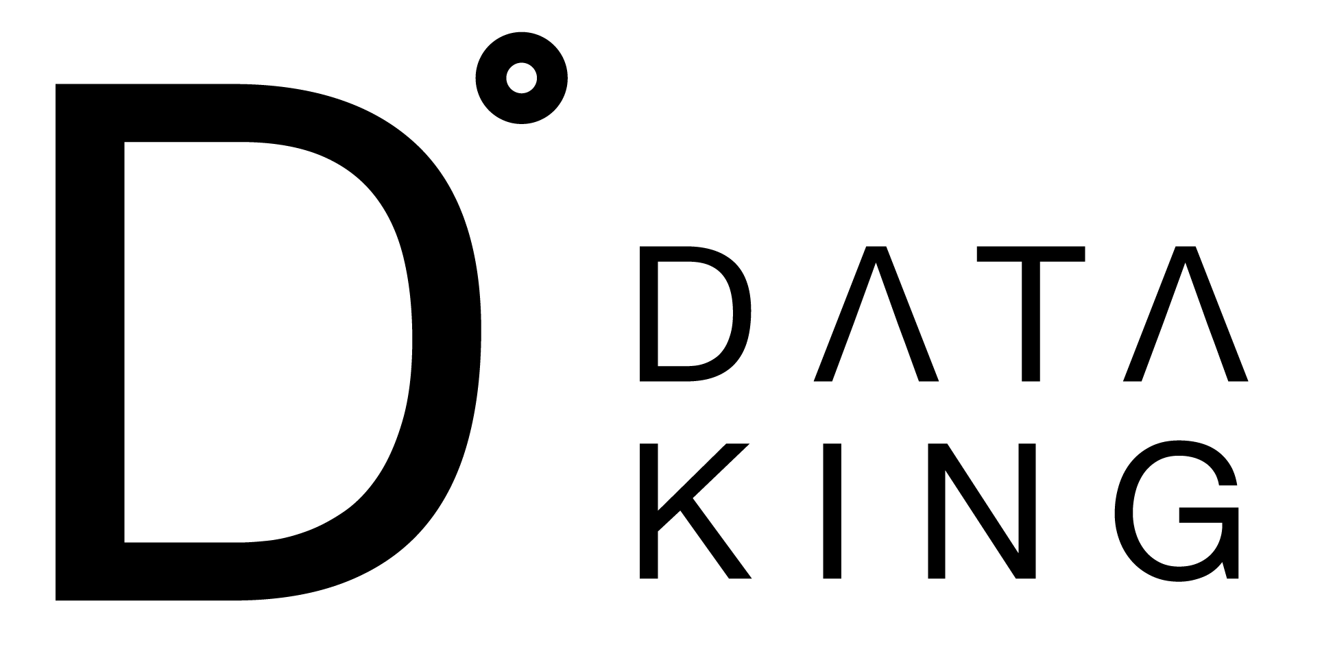dataking., Inc