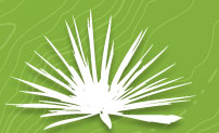 Bacanora Minerals