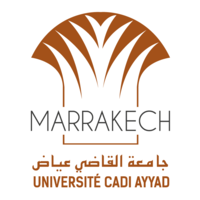 Cadi Ayyad University