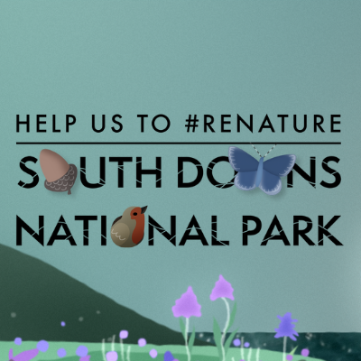 South Downs National Park Authority