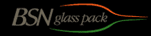 BSN Glasspack SA