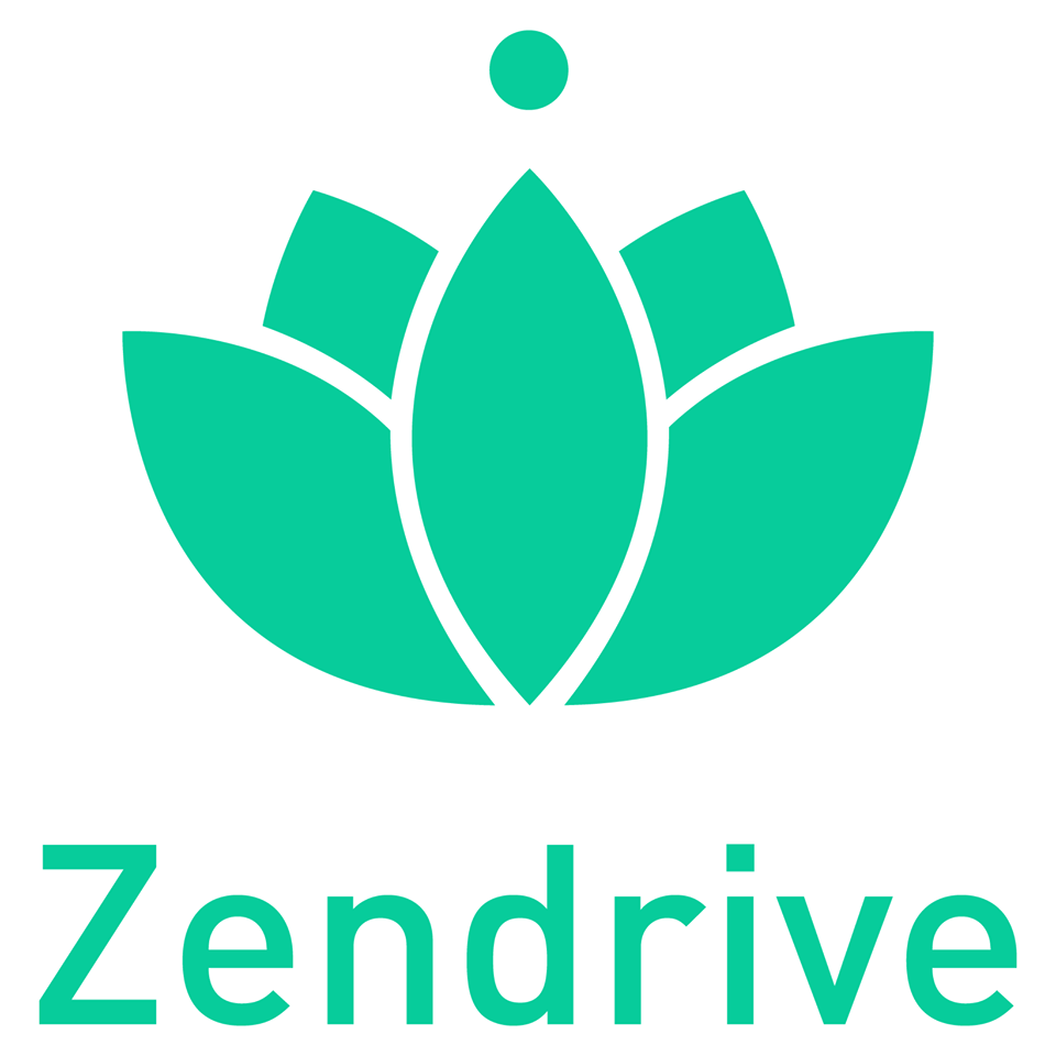 Zendrive, Inc.