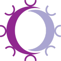 Repertoire Immune Medicines, Inc.